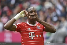 费德勒官方宣布战术调整新规，拜仁引发争议！